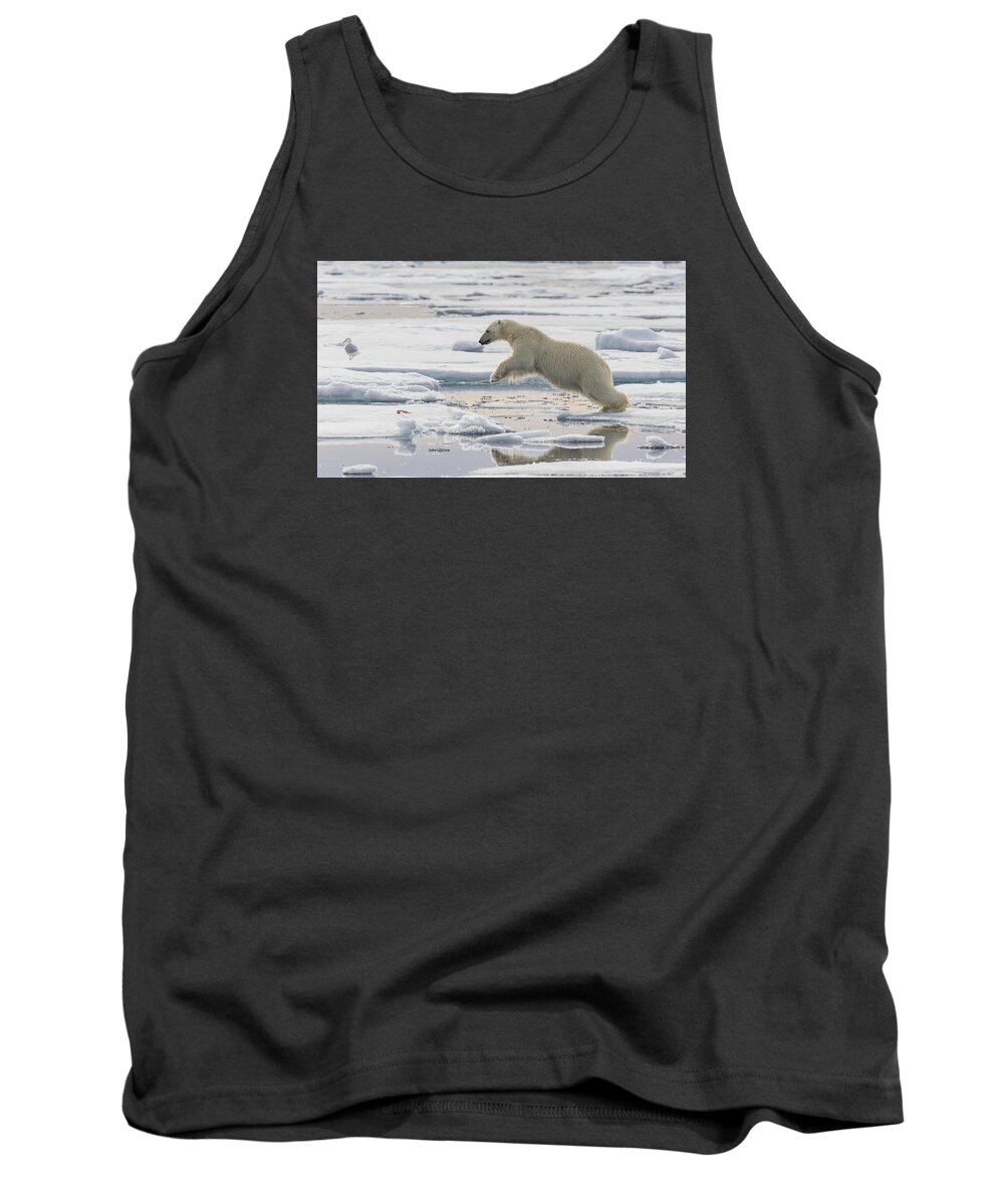 Nis Tank Top featuring the photograph Polar Bear Jumping by Peer von Wahl
