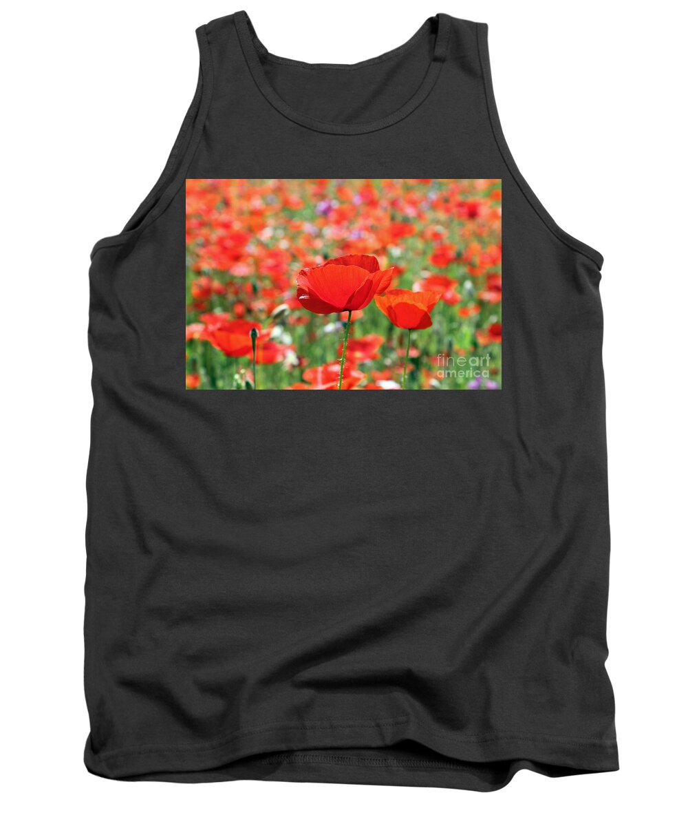 Poppy Poppies Field Tank Top featuring the photograph Poppies by Julia Gavin