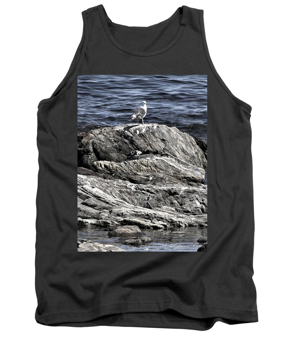 Odiorne Point Tank Top featuring the photograph Portrait of a Gull by Natalie Rotman Cote