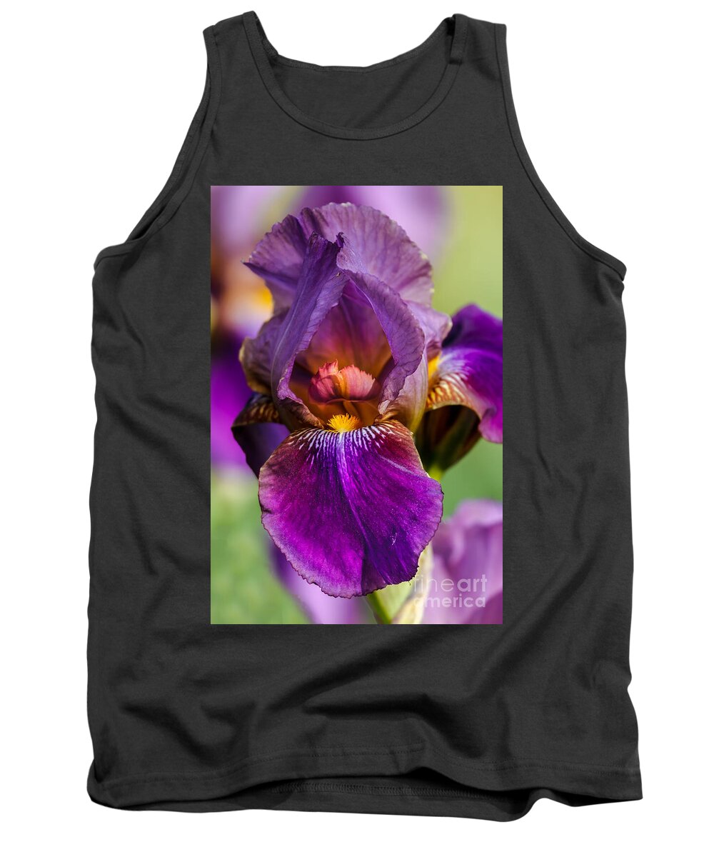 Iris Tank Top featuring the photograph Purple Flag by Robert Bales