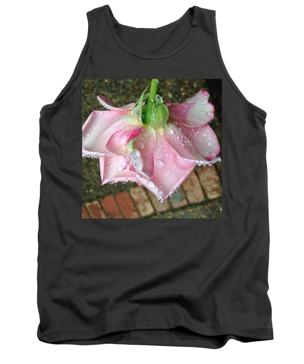 Raindrops On Roses Tank Top featuring the photograph Raindrops On Roses by Anna Porter