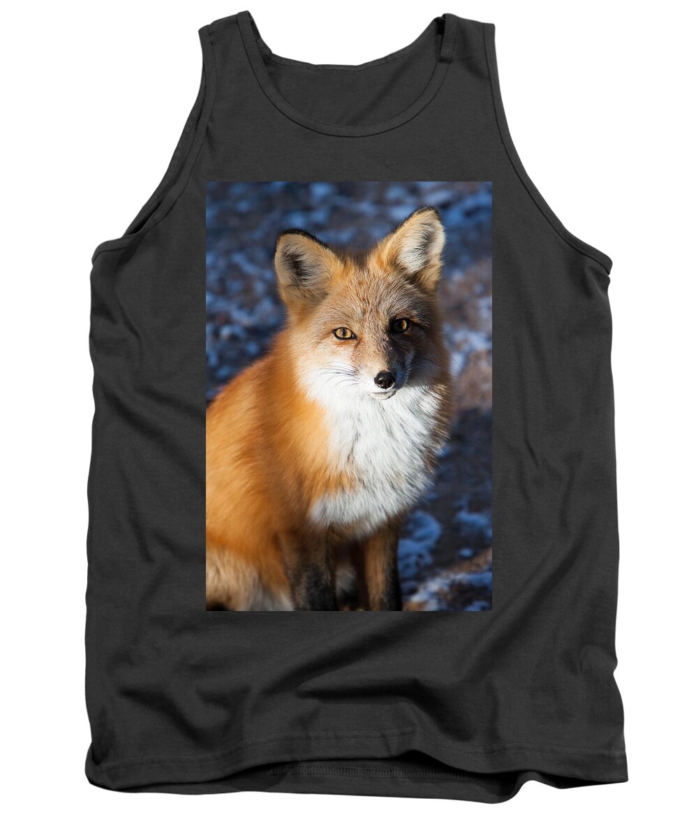 Animal Tank Top featuring the photograph Red Fox Standing by John Wadleigh