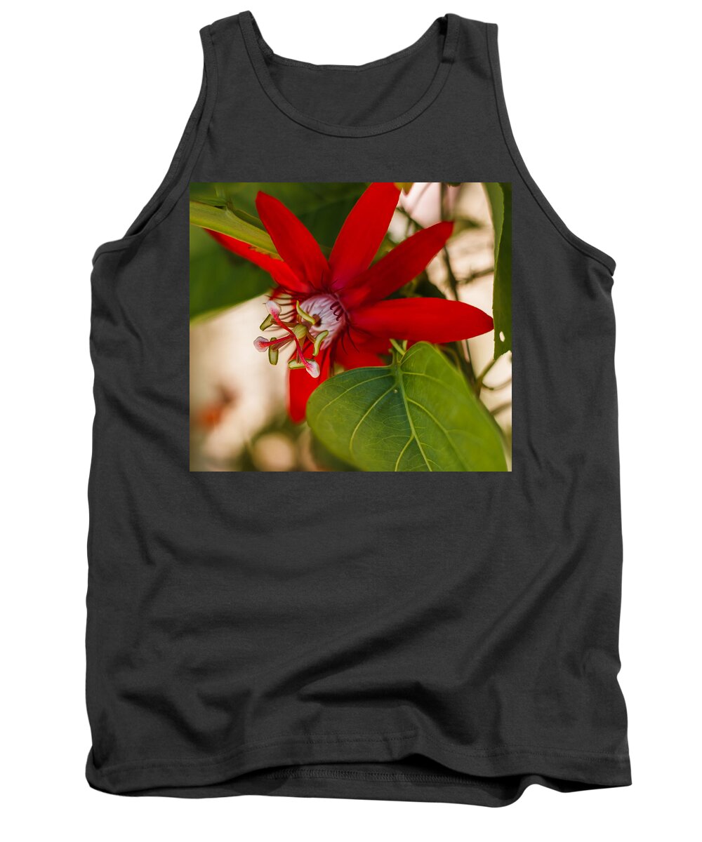 Florida Tank Top featuring the photograph Red Passion Flower by Jane Luxton