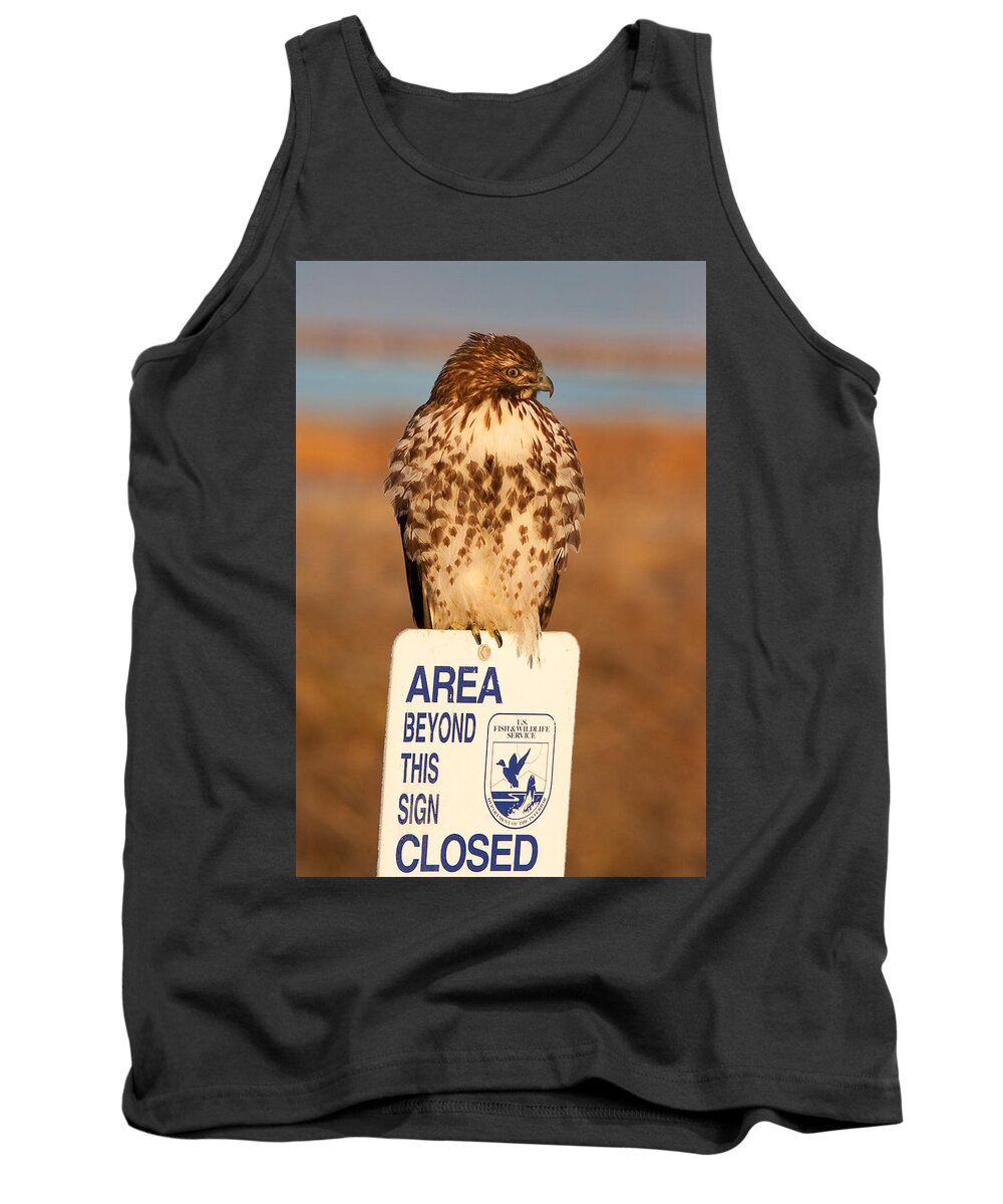 Red-tailed Hawk Tank Top featuring the photograph Red Tailed Hawk Lower Klamath National Wildlife Refuge Northern California by Ram Vasudev
