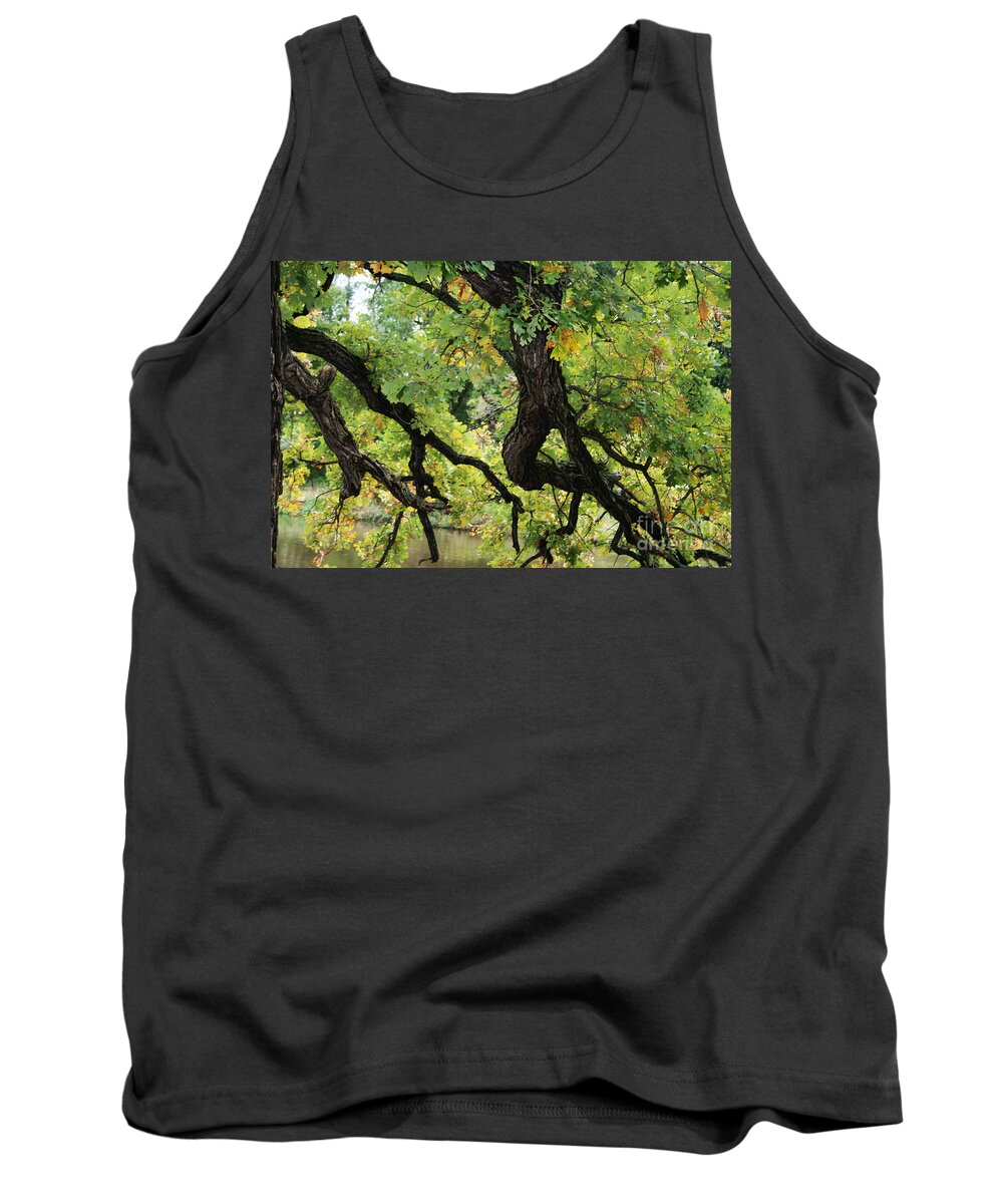 Jamie Lynn Gabrich Tank Top featuring the photograph Refreshing by JamieLynn Warber