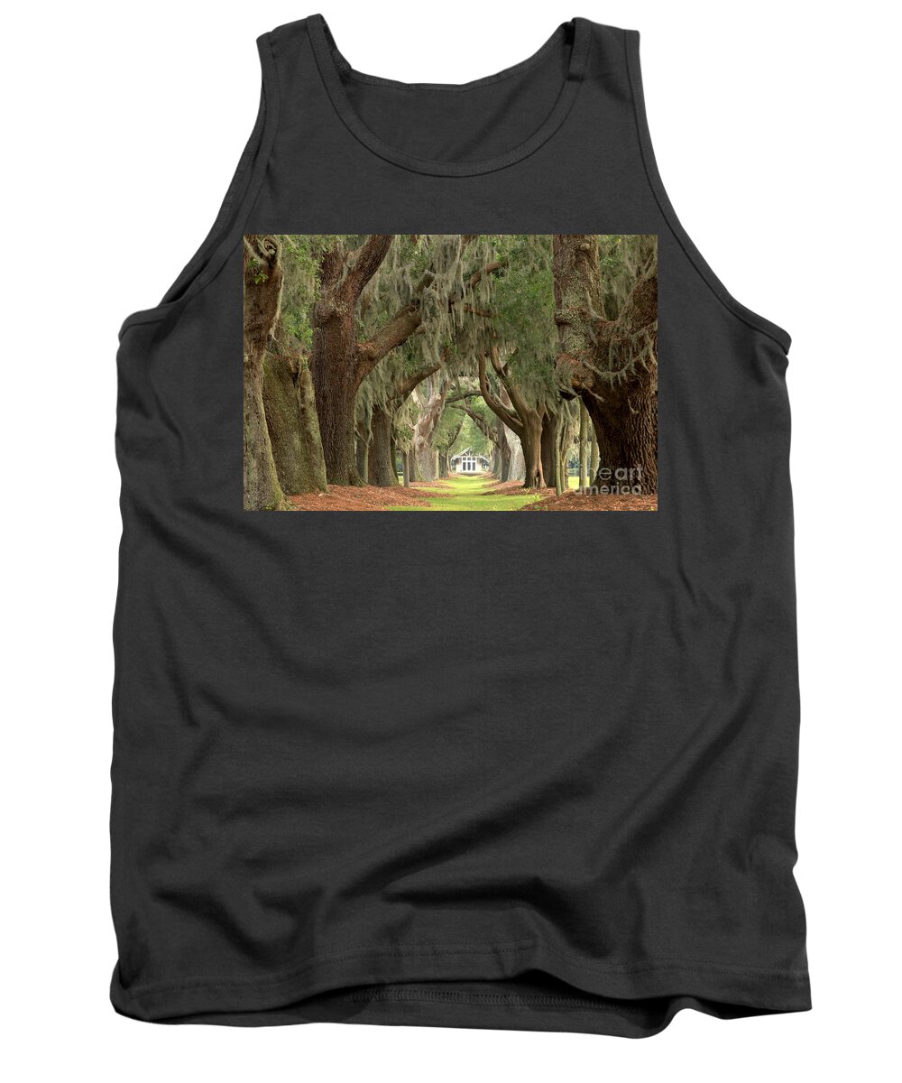 Avenue Of The Oaks Tank Top featuring the photograph Retreat Avenue Of The Oaks by Adam Jewell