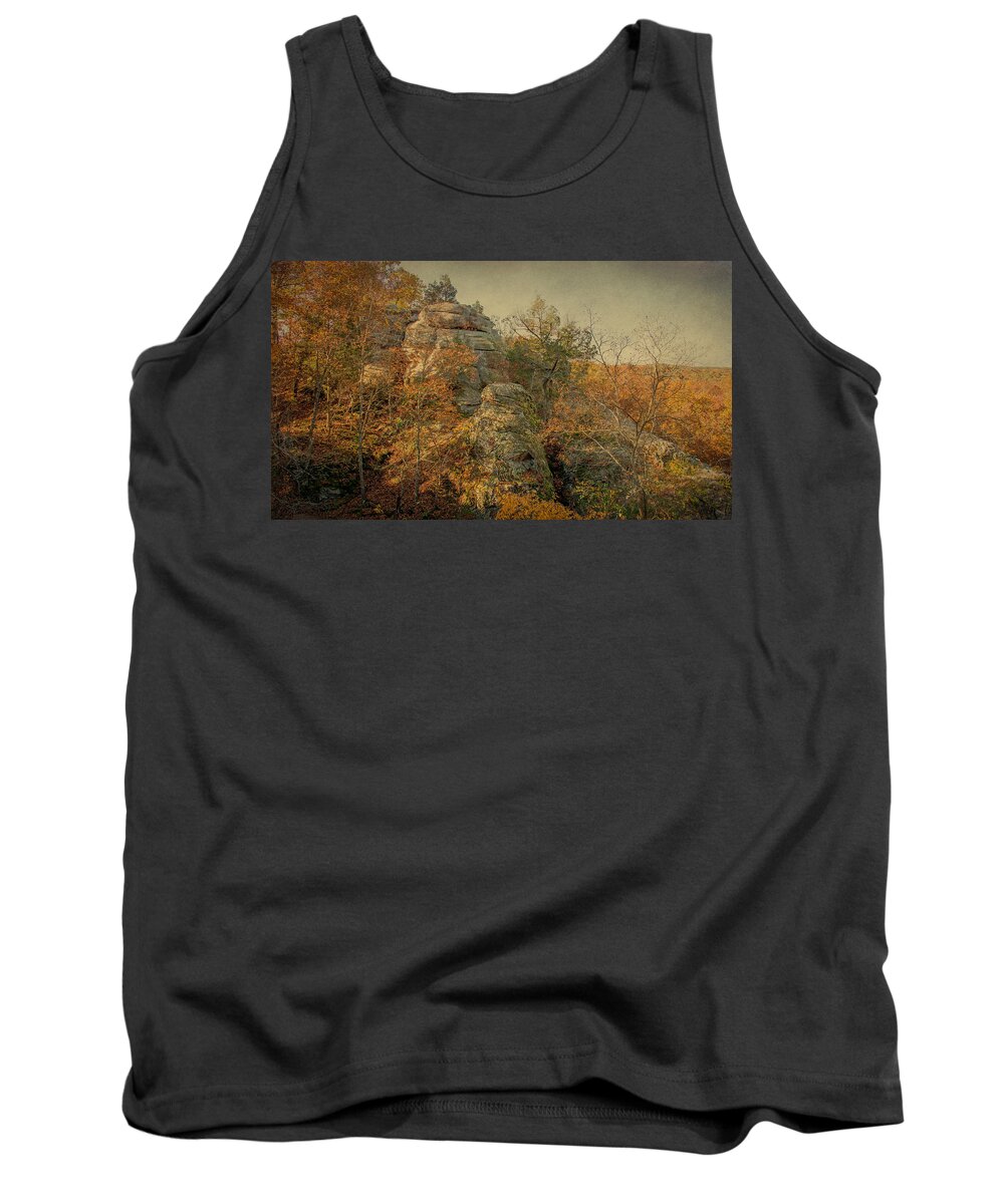 Shawnee National Forest Tank Top featuring the photograph Rock Formation by Sandy Keeton