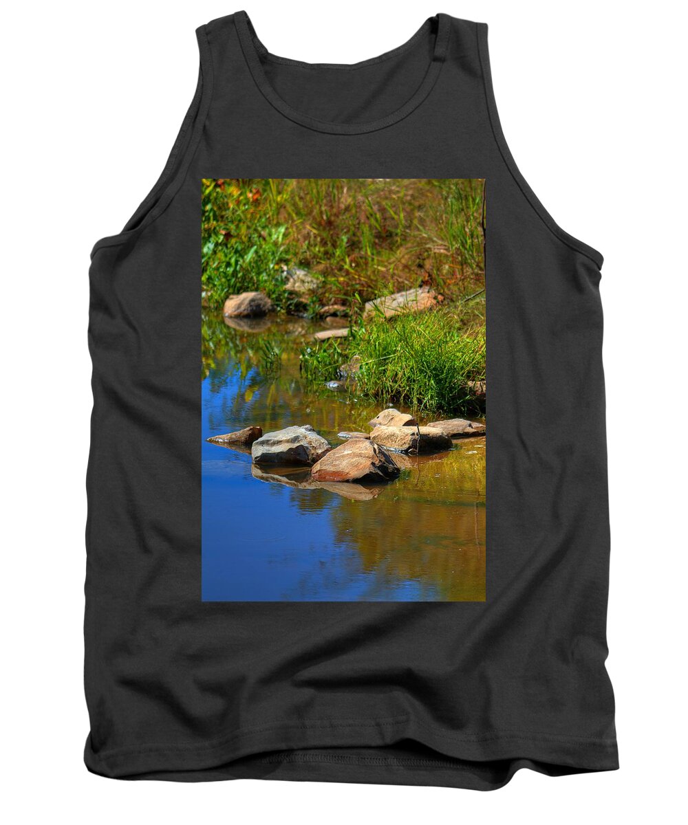 Rock Tank Top featuring the photograph A Clear Reflection by Ester McGuire