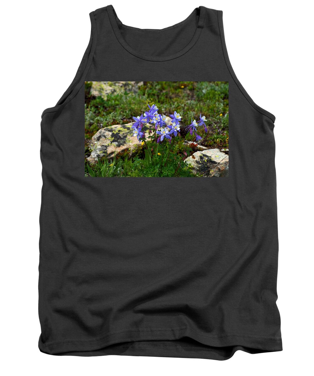 Colorado Tank Top featuring the photograph Queen of the Rockies by Jeremy Rhoades