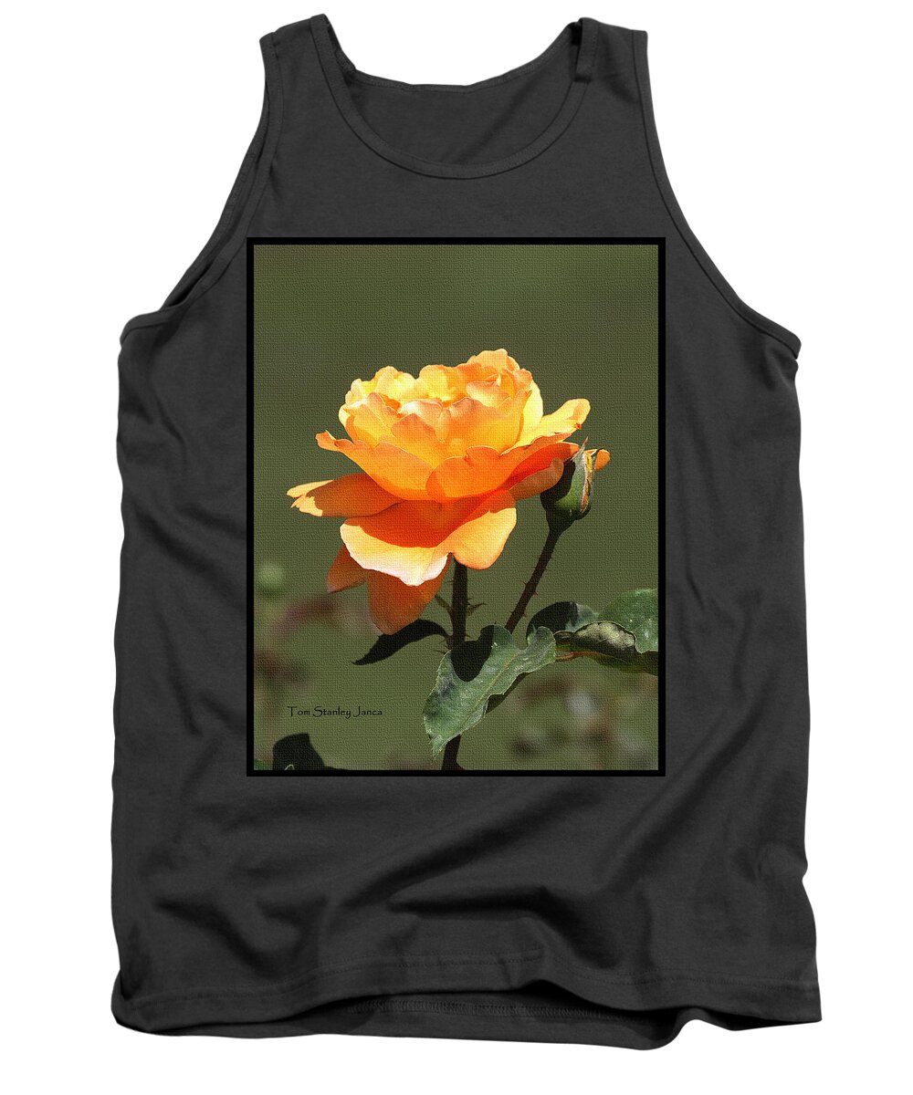 Rose And Bud At Mcc Tank Top featuring the photograph Rose and Bud At MCC by Tom Janca