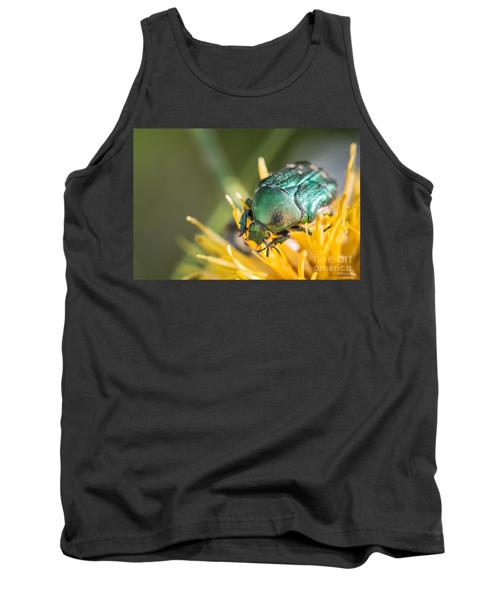 Bulgaria Tank Top featuring the photograph Rose chafer by Jivko Nakev