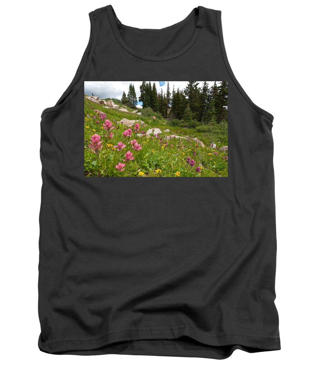 Indian Peaks Wilderness Area Tank Top featuring the photograph Rosy Paintbrush and Trees by Cascade Colors