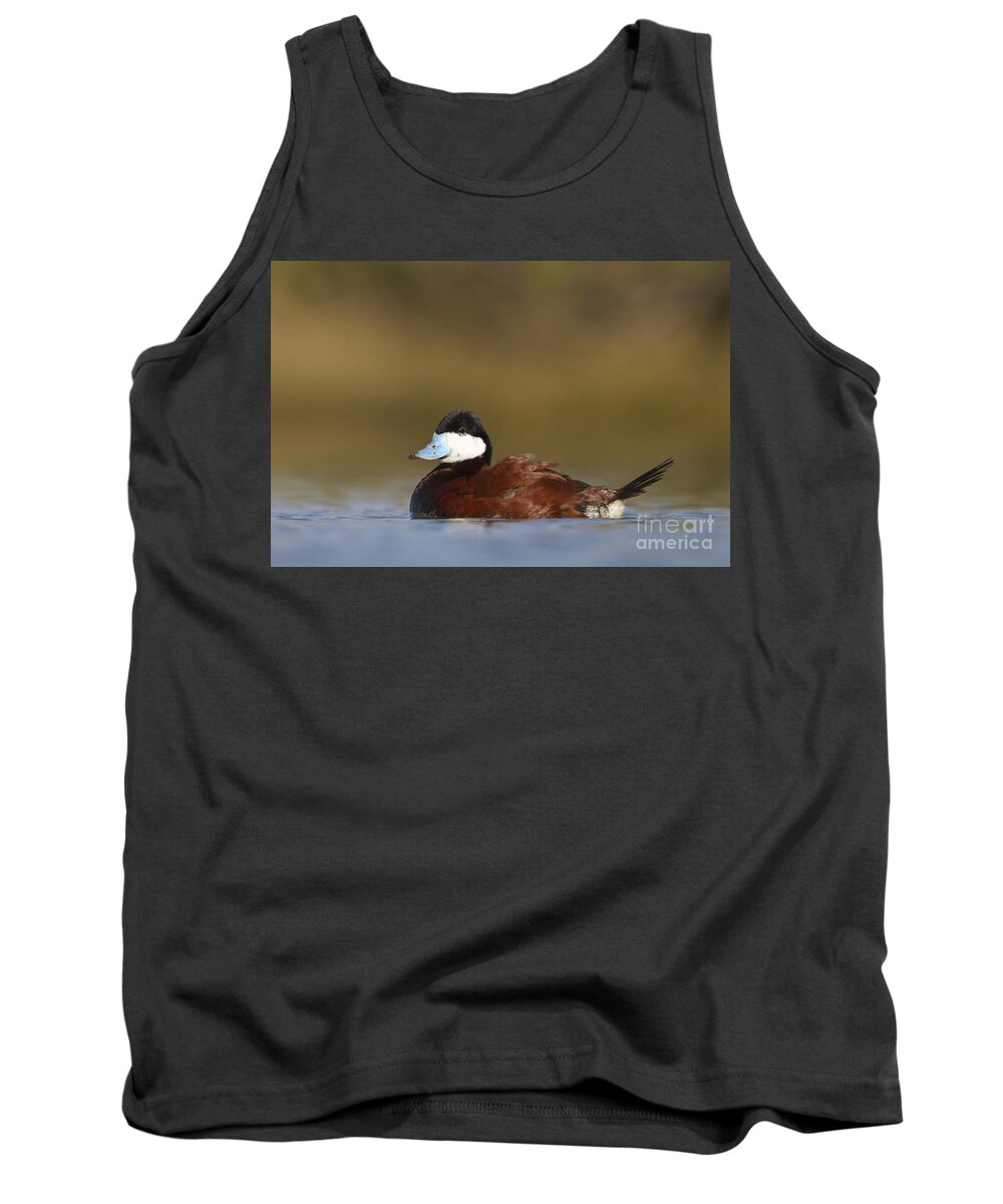 Duck Tank Top featuring the photograph Ruddy Duck by Bryan Keil