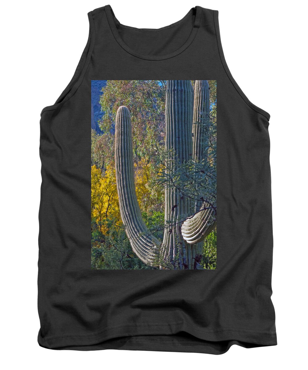 Fall Color Tank Top featuring the photograph Saguaro Fall Color by Tam Ryan