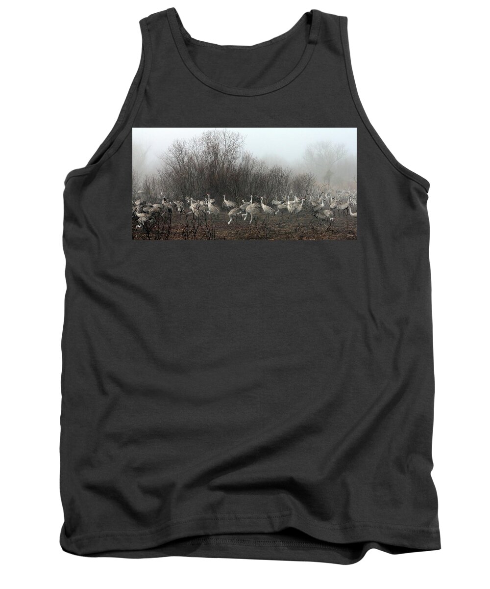 Sandhill Tank Top featuring the photograph Sandhill Cranes in the Fog by Farol Tomson