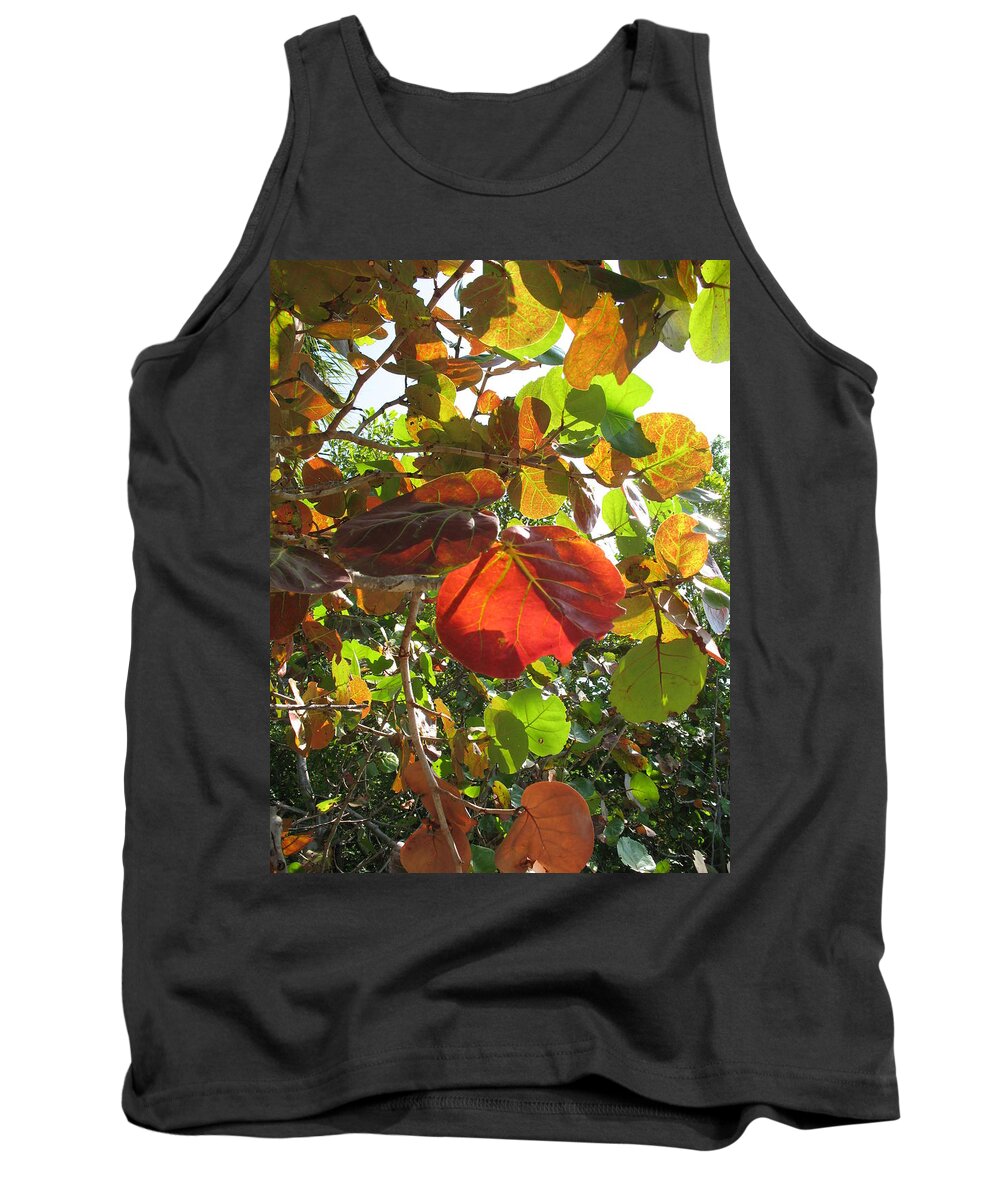 Seagrape Tank Top featuring the photograph Seagrape Leaves by Christiane Schulze Art And Photography