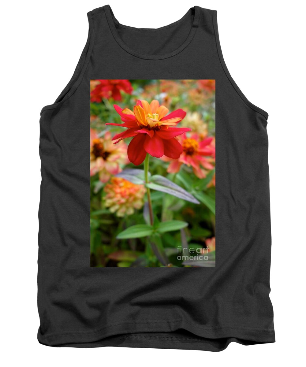 Serenity In Red Tank Top featuring the photograph Serenity In Red by Jacqueline Athmann