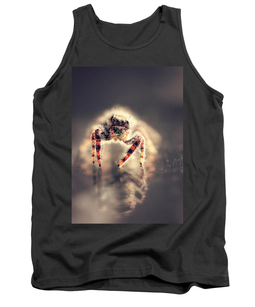 Spider Tank Top featuring the photograph Set in Motion by Melanie Lankford Photography