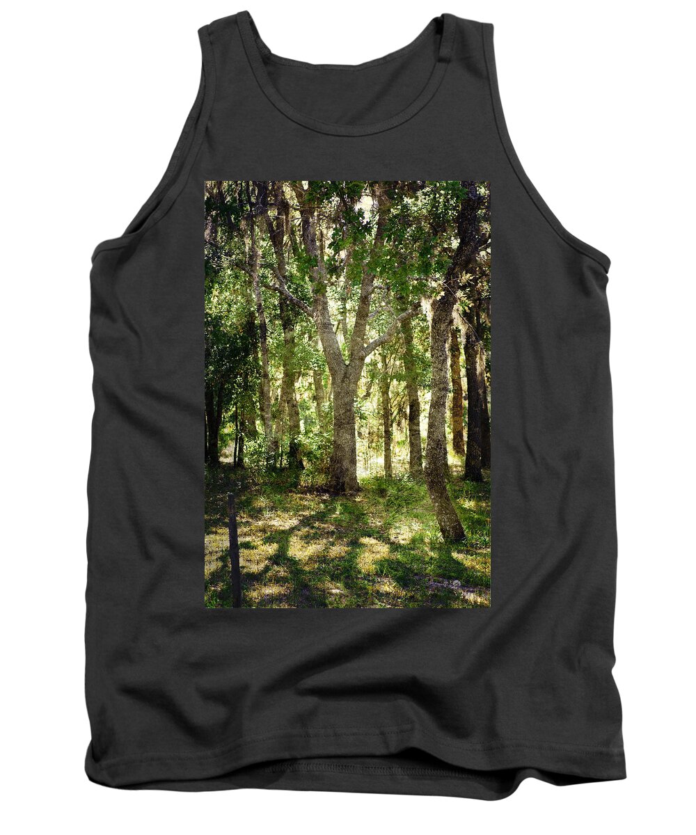 Trees Tank Top featuring the photograph Shadow Forest by Judy Hall-Folde