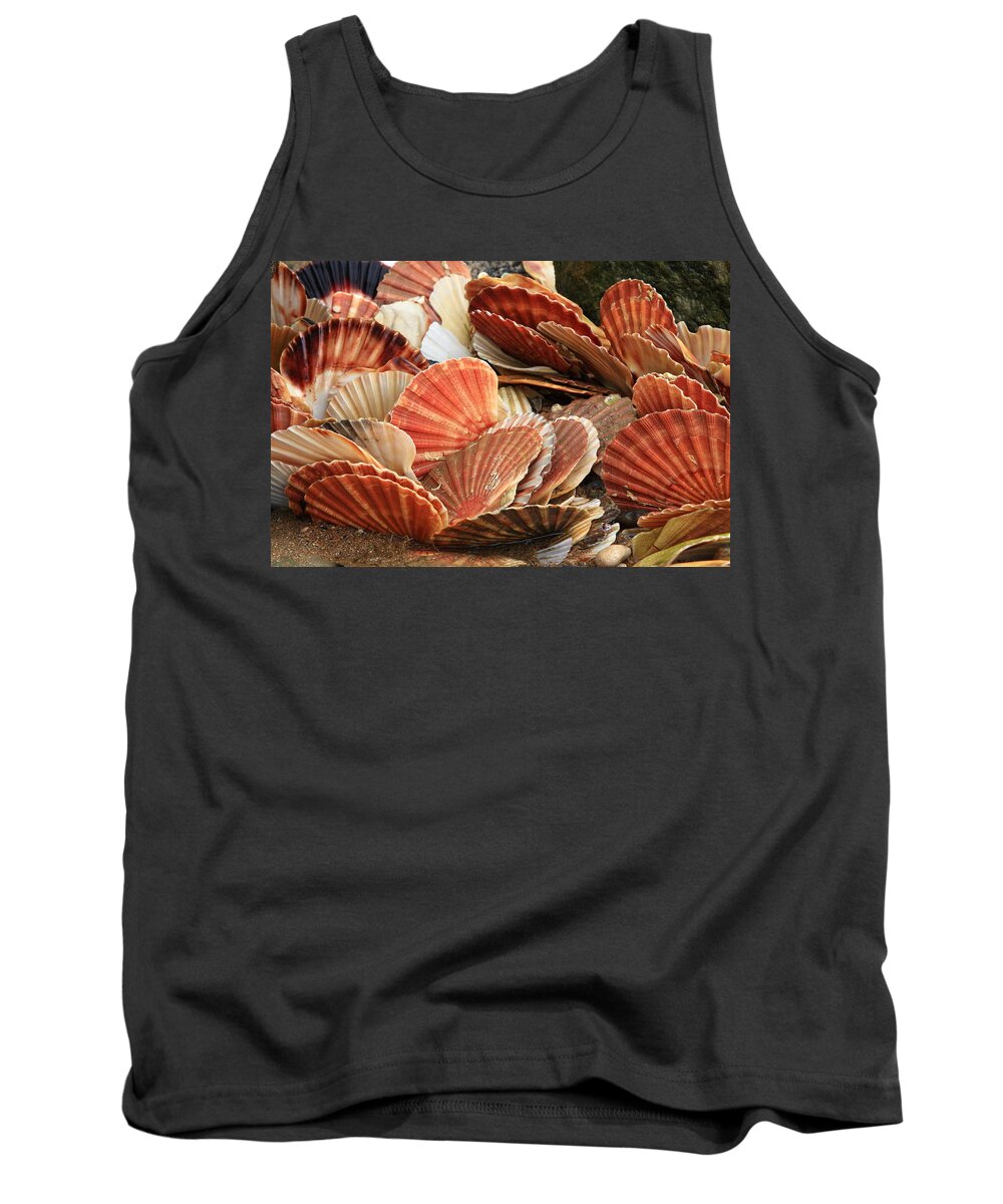Shells Tank Top featuring the photograph Shells On The Shore by Aidan Moran