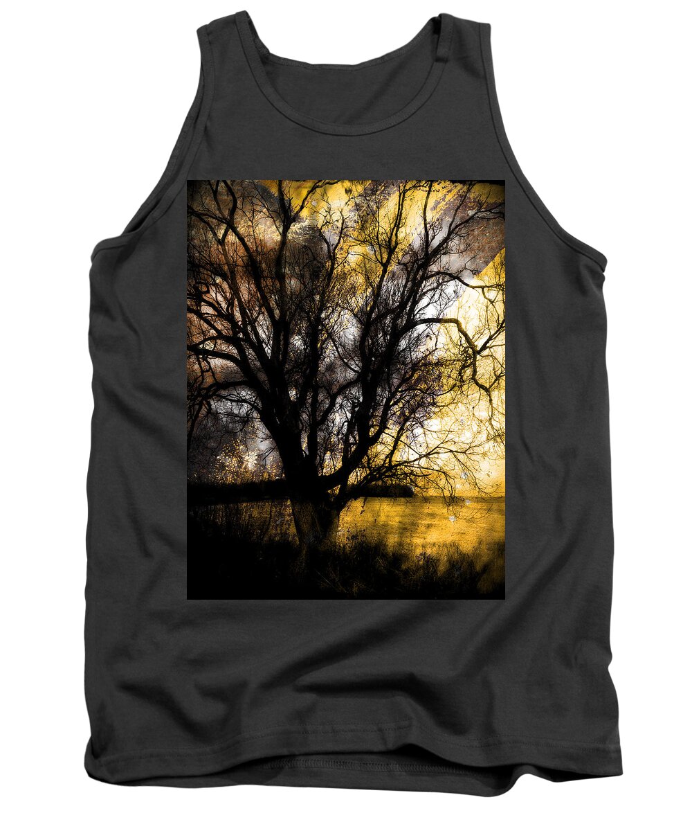 Trees Tank Top featuring the photograph Shine In Twine by J C