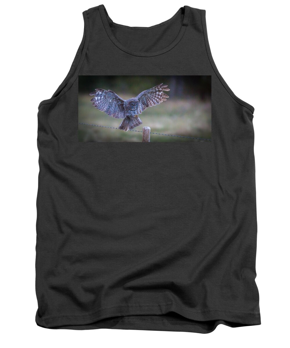 Owls Tank Top featuring the photograph Silent Landings by Kevin Dietrich