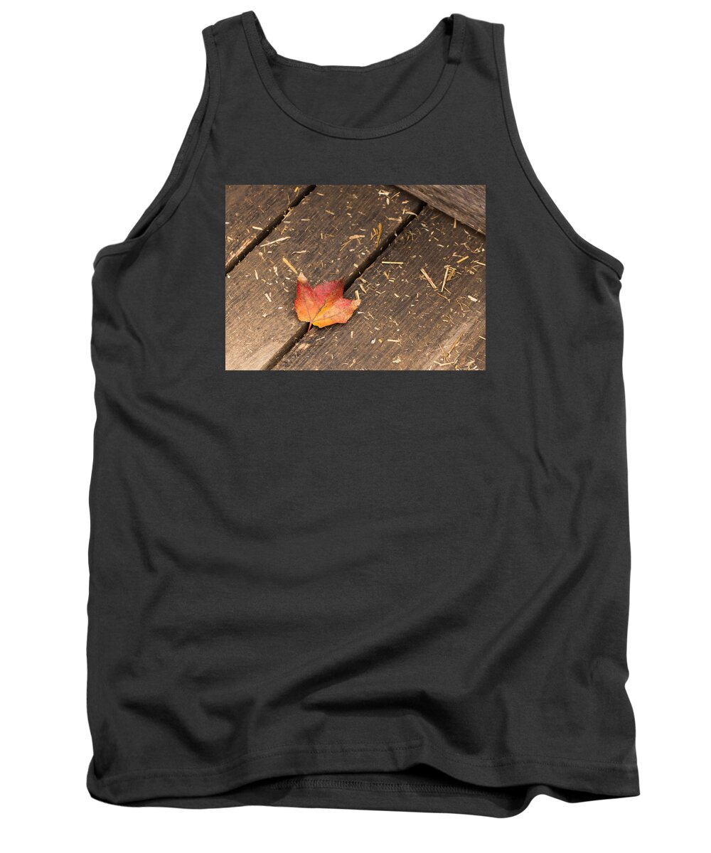 Maple Tank Top featuring the photograph Single Maple Leaf by Photographic Arts And Design Studio
