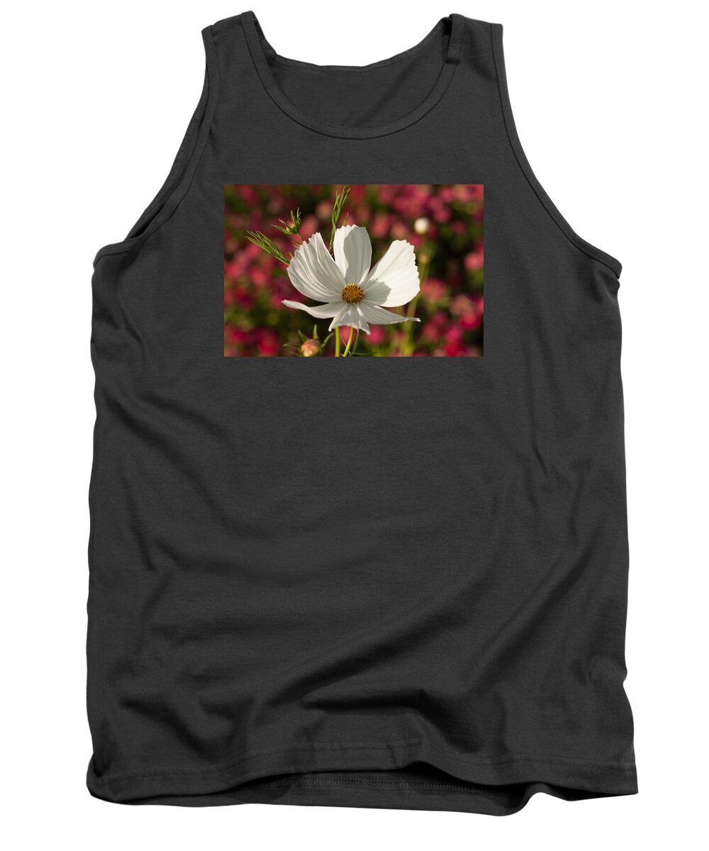Botanical Tank Top featuring the photograph Single by Miguel Winterpacht