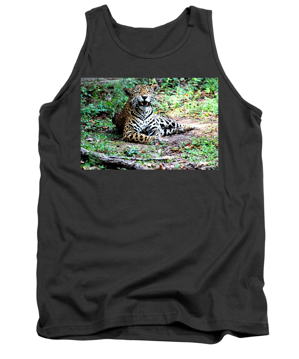 Jaguars Tank Top featuring the photograph Smiling Jaguar by Kathy White