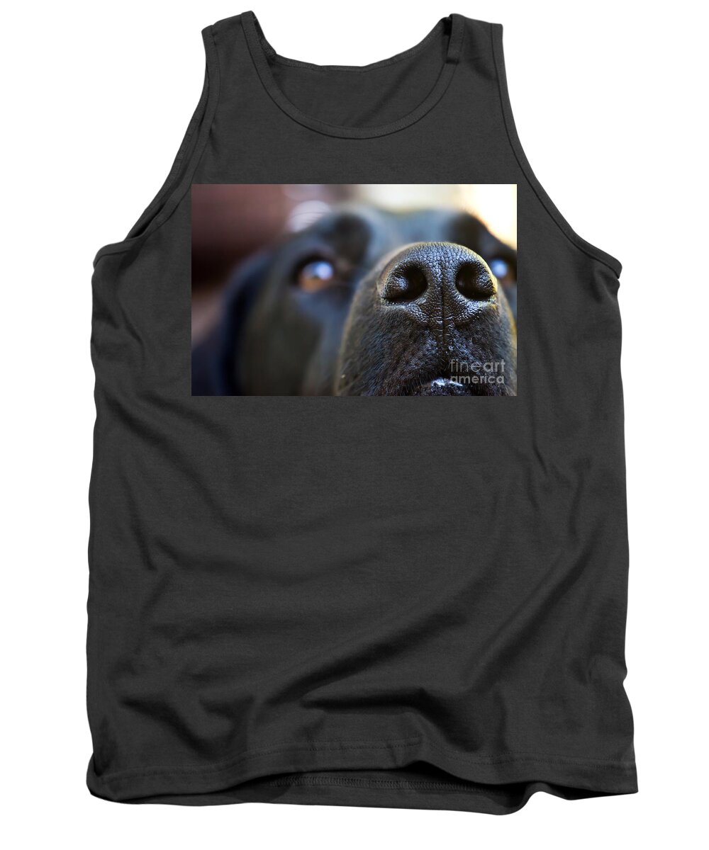Dog Tank Top featuring the photograph Sniffer by PatriZio M Busnel