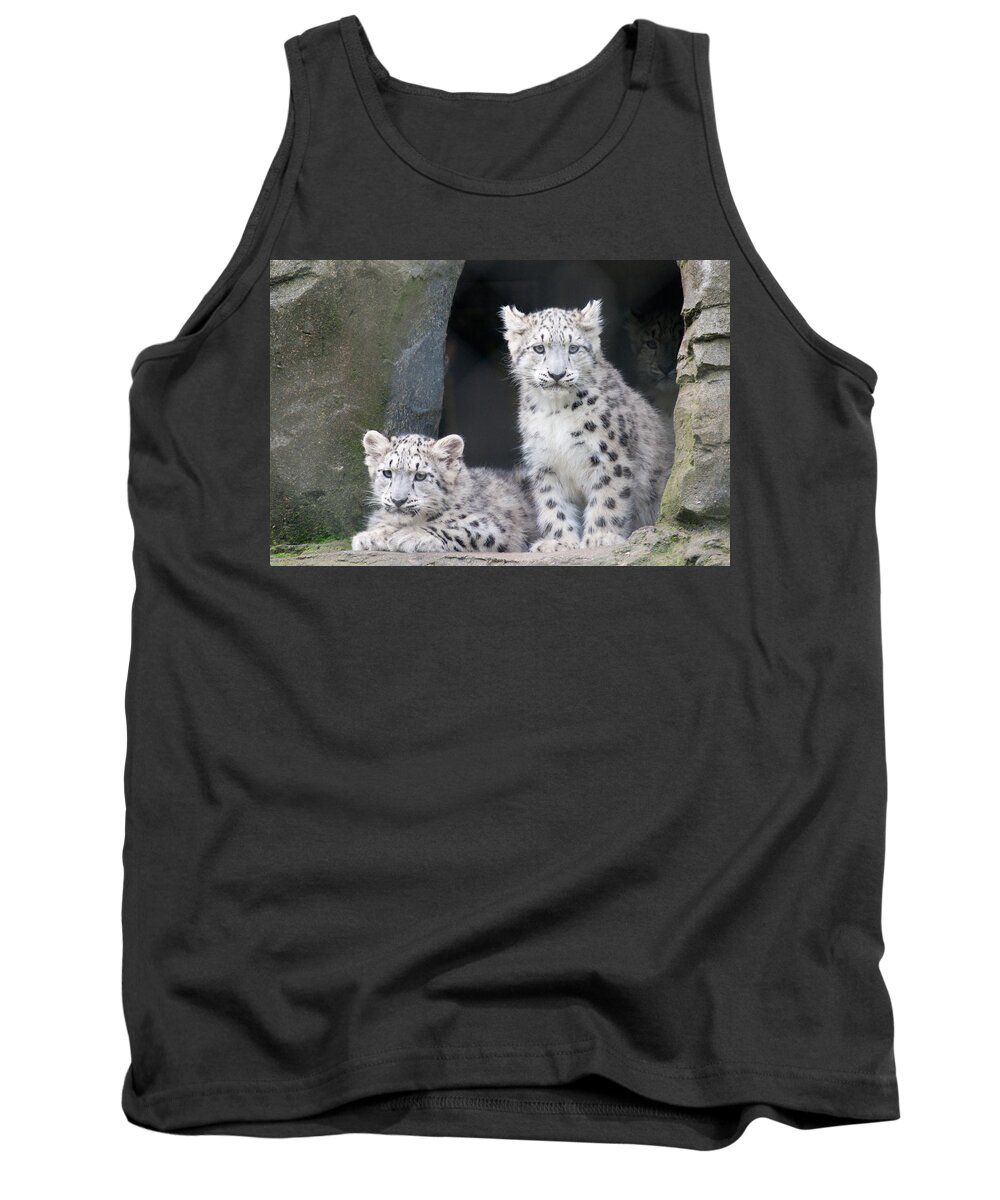 Animal Tank Top featuring the photograph Snow Leopard Cubs by Chris Boulton