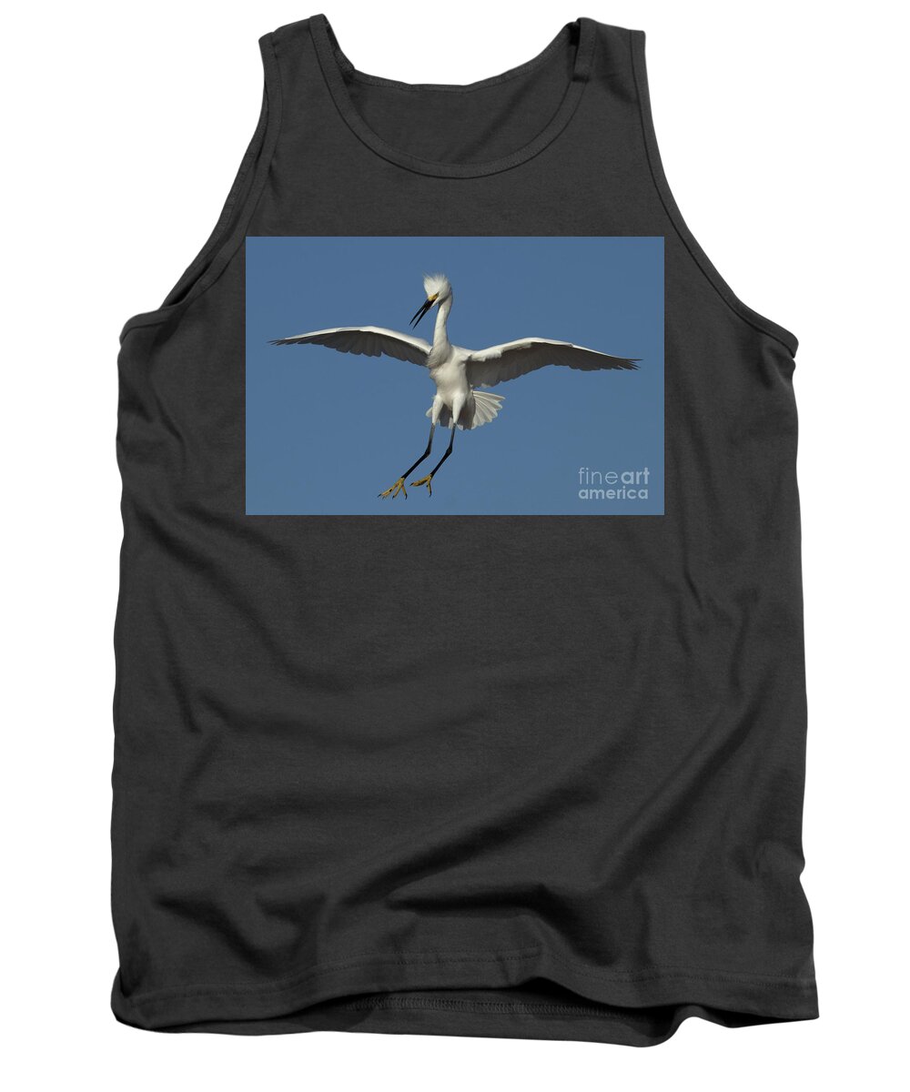 Snowy Egret Tank Top featuring the photograph Snowy Egret Photo by Meg Rousher