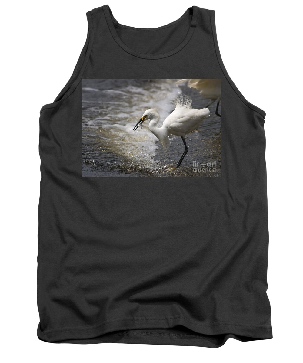 Snowy Egret Tank Top featuring the photograph Snowy Egret with Fish by John Greco