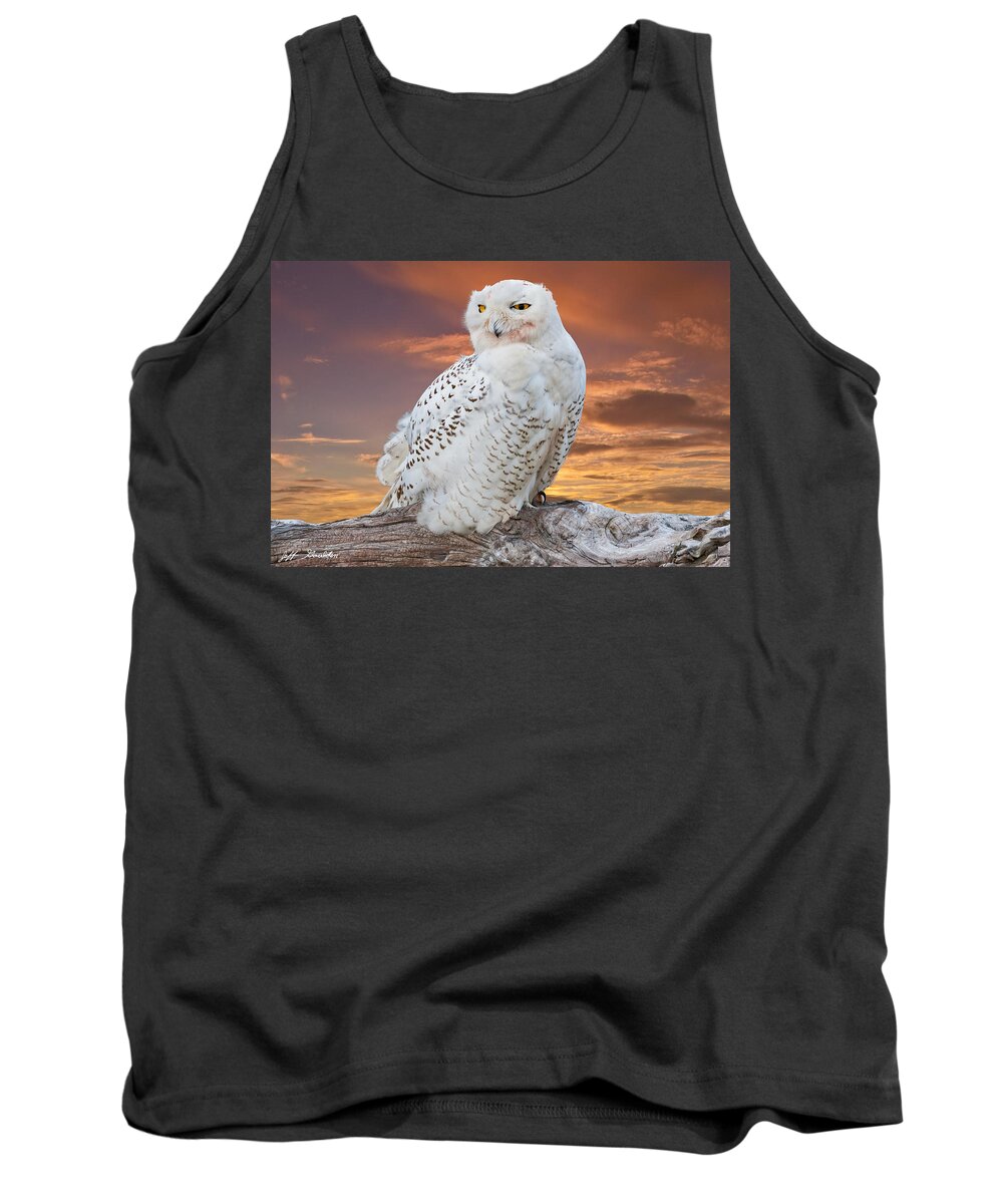 Animal Tank Top featuring the photograph Snowy Owl Perched at Sunset by Jeff Goulden