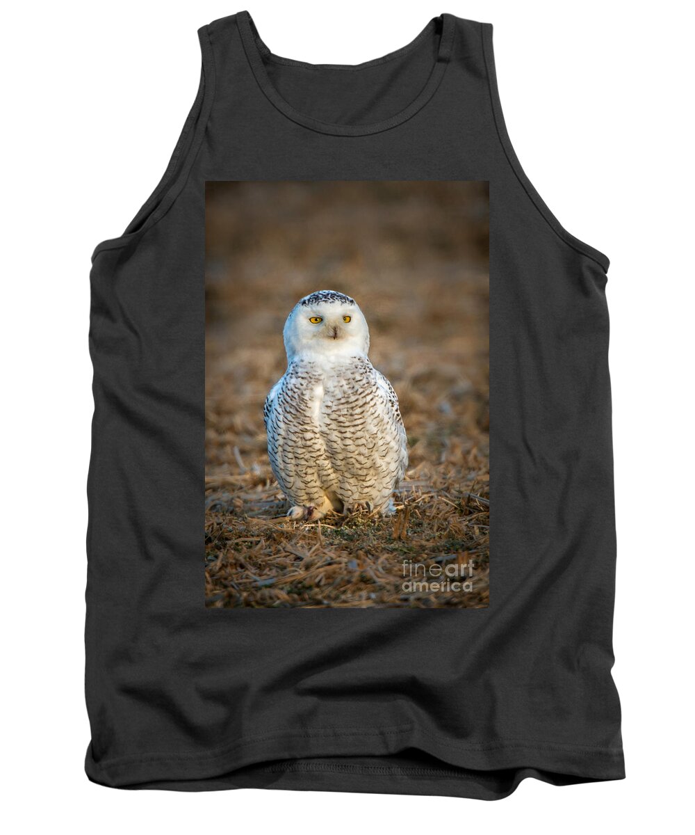 (by Weight) Tank Top featuring the photograph Snowy Owl by Ronald Lutz