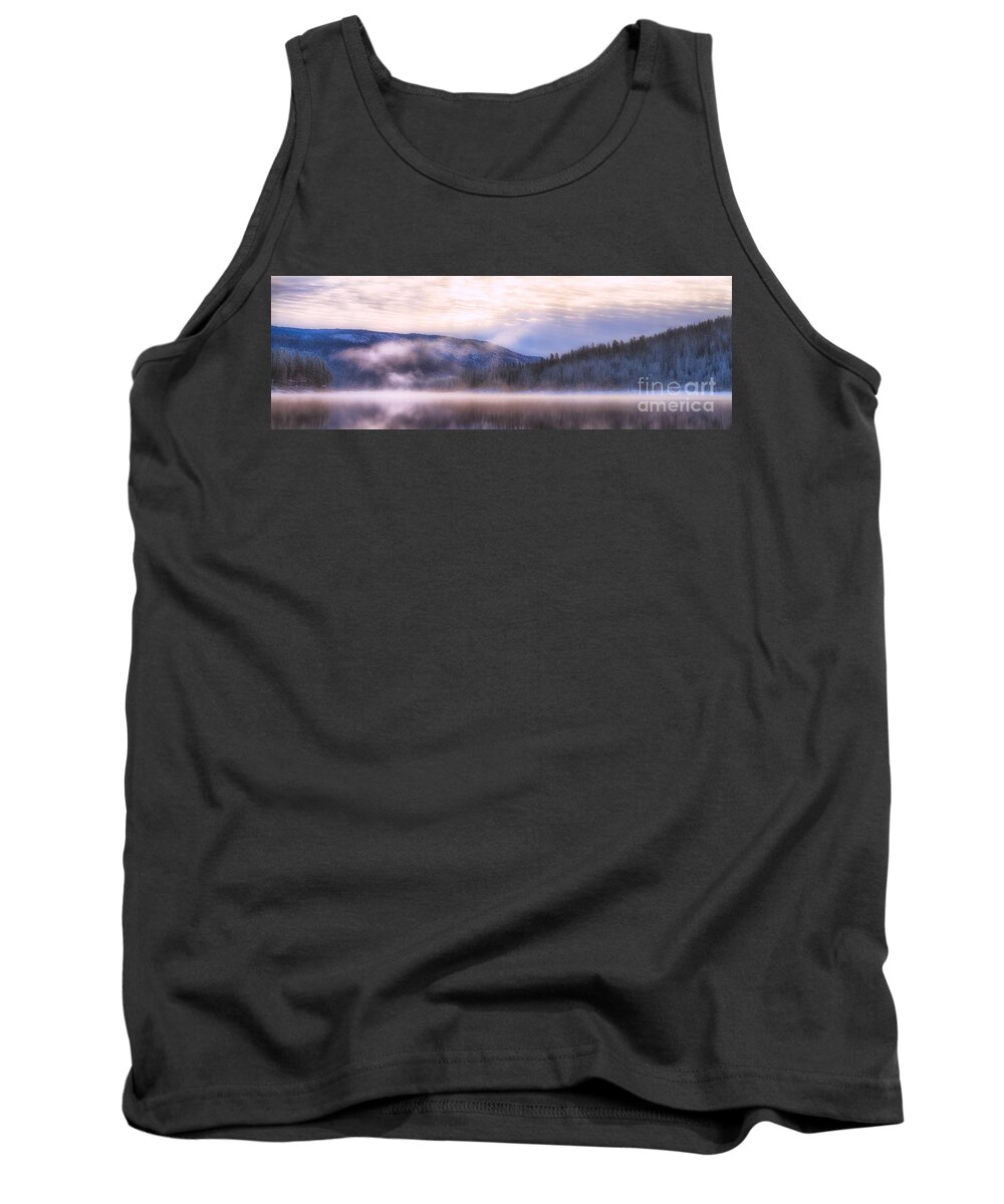 Morning Tank Top featuring the photograph Soft Light of Winter by Anthony Michael Bonafede