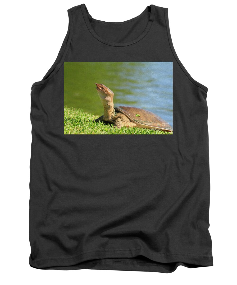 Turtle Tank Top featuring the photograph Soft Shell Oil by Deborah Benoit