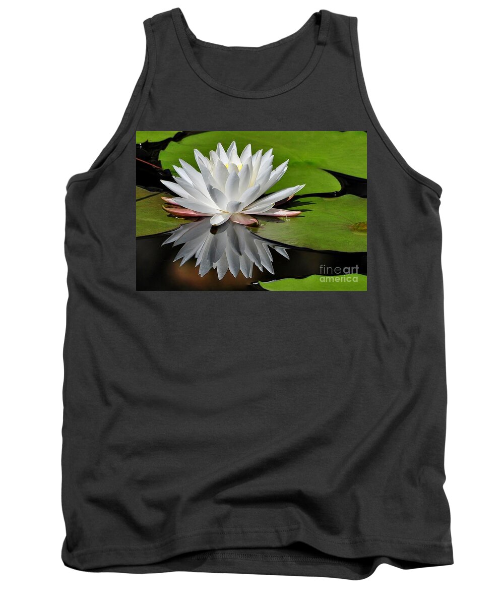 Flowers Tank Top featuring the photograph Softly by Kathy Baccari