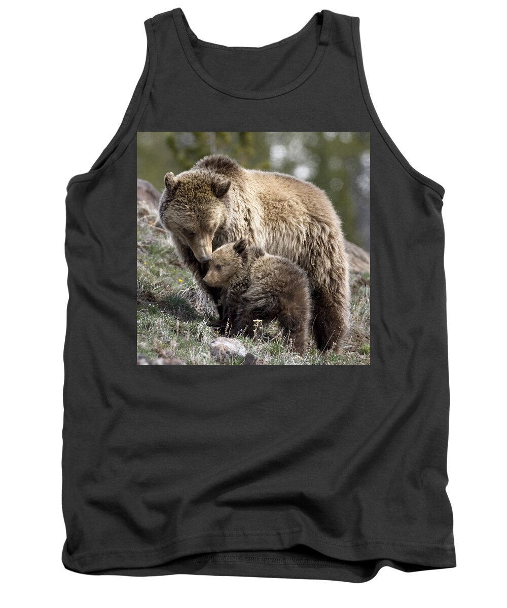 Grizzly Bears Tank Top featuring the photograph Someone To Watch Over Me by Max Waugh