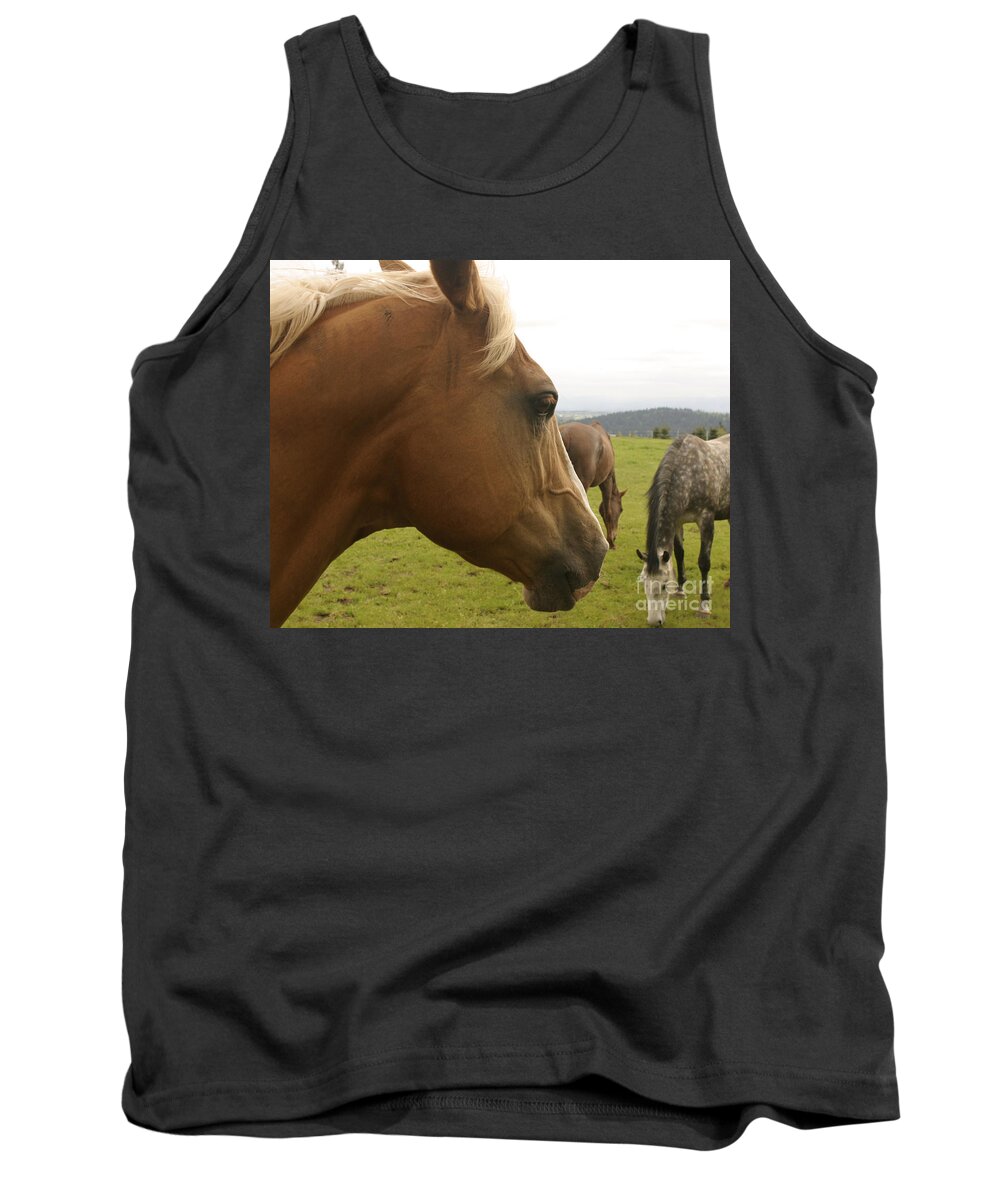 Horse Tank Top featuring the photograph Sorrel Horse Profile by Belinda Greb