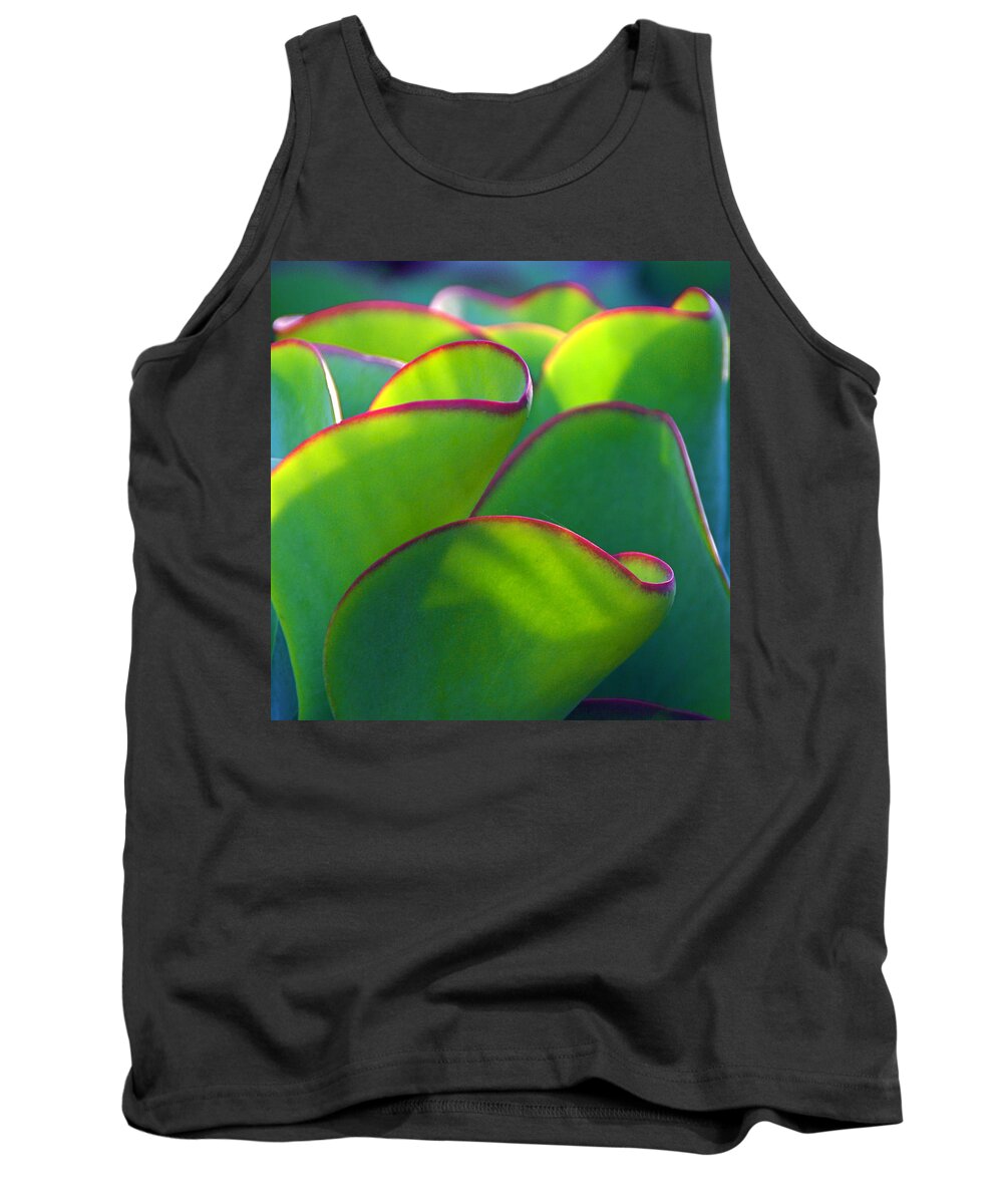 Succulent Tank Top featuring the photograph South African Beauty by Byron Varvarigos