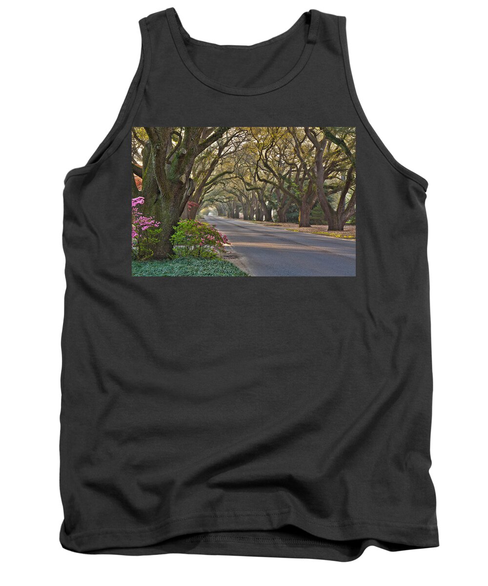 South Boundary Tank Top featuring the photograph South Boundary in Spring by Shirley Radabaugh