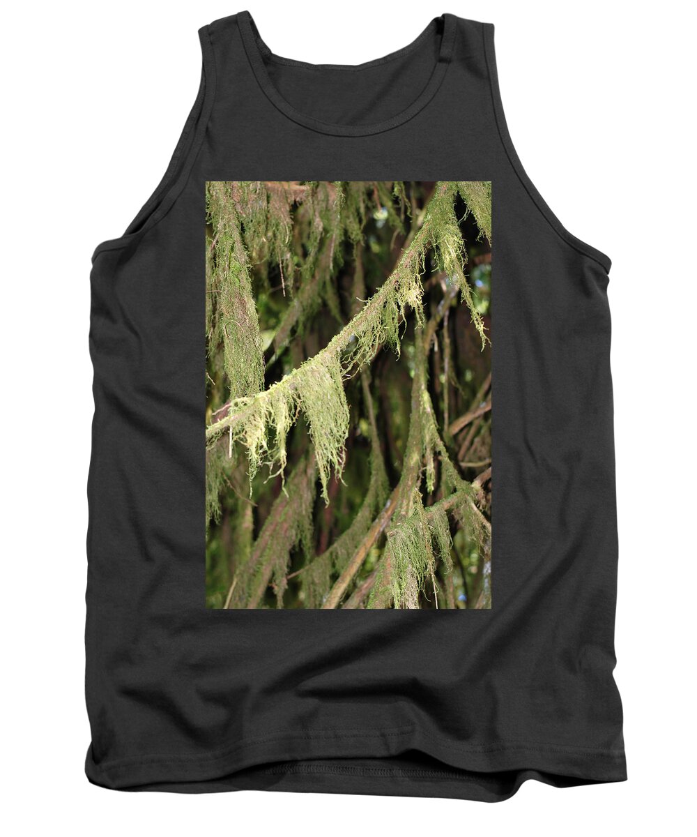 Spanish Moss Tank Top featuring the photograph Spanish Moss In Olympic National Park by Connie Fox