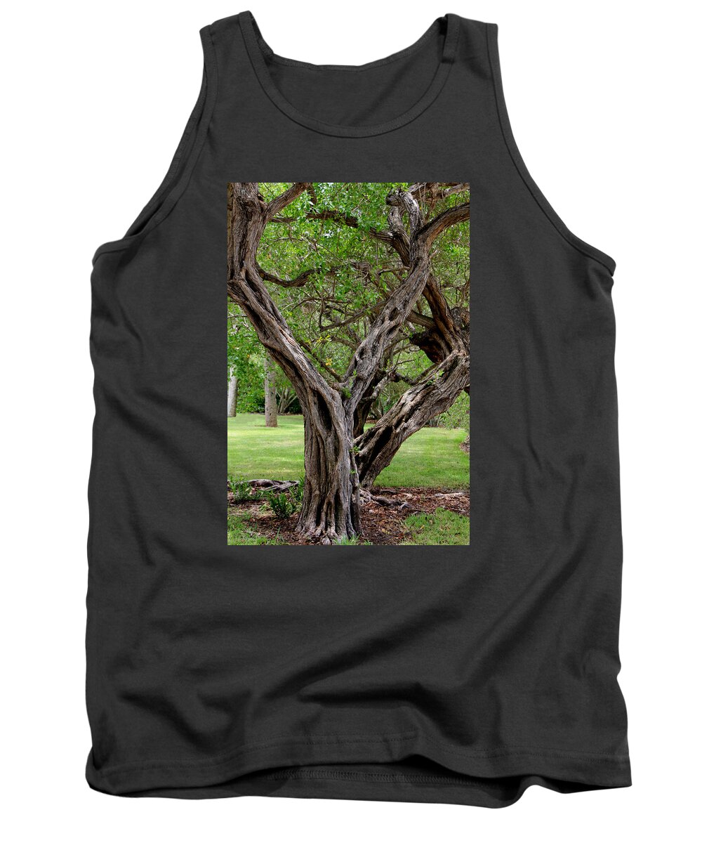 Tree Tank Top featuring the photograph Spooky Tree by Rosalie Scanlon