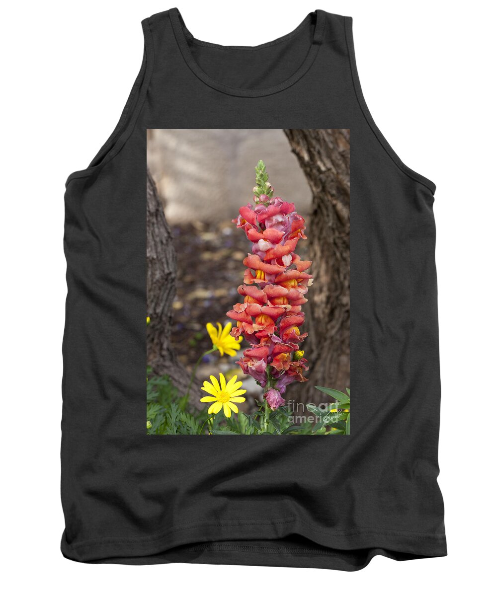 Wildflowers Tank Top featuring the photograph Spring Framed by Erika Weber