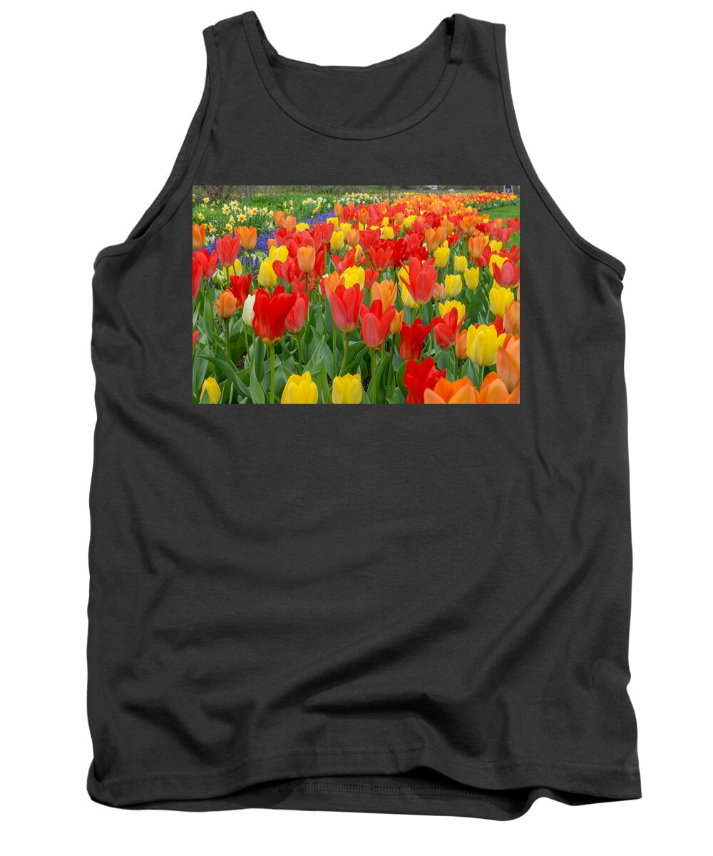 Blue Tank Top featuring the photograph Spring of Glory by Bill Pevlor