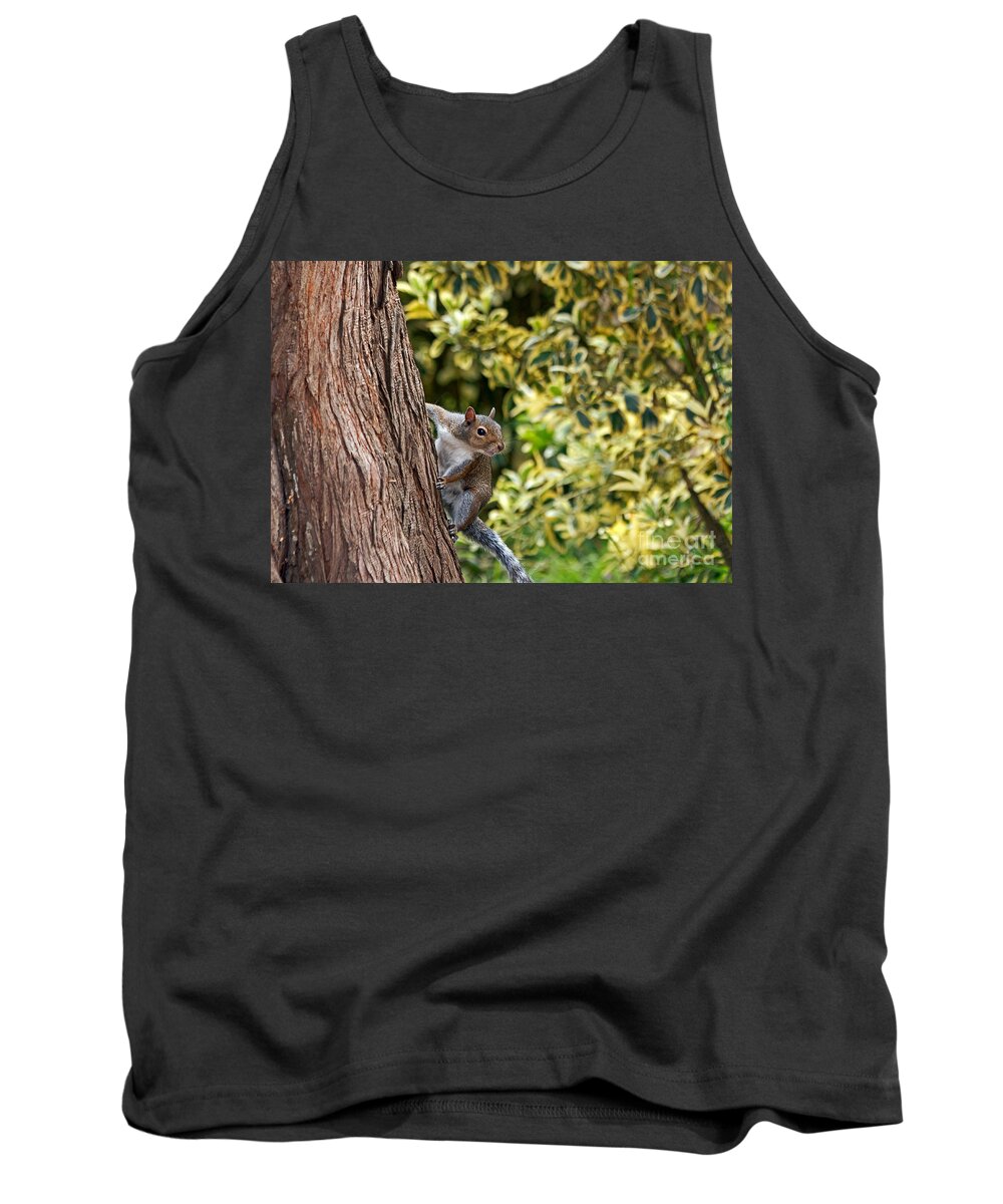 Kate Brown Tank Top featuring the photograph Squirrel by Kate Brown