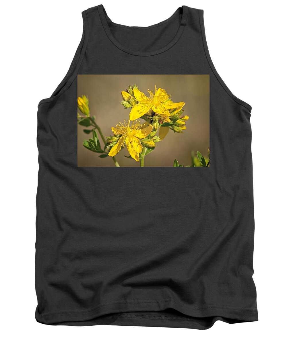 St Johns Wort Tank Top featuring the photograph St Johns Wort by Betty Depee