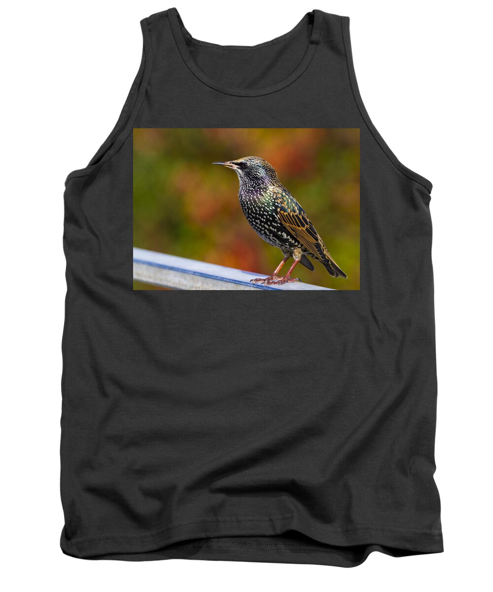 Starling Tank Top featuring the photograph Starling Sturnus vulgaris by Chris Smith