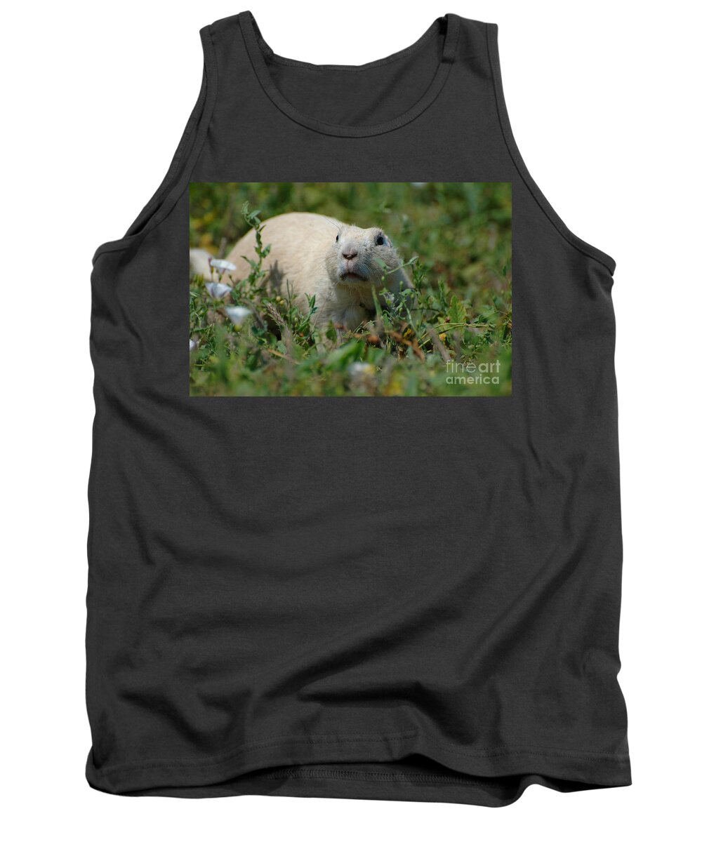 South Dakota Tank Top featuring the photograph Stealthy White Prairie Dog by Joan Wallner